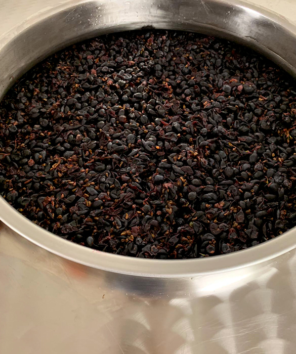 vasca fermezione con uva rossa