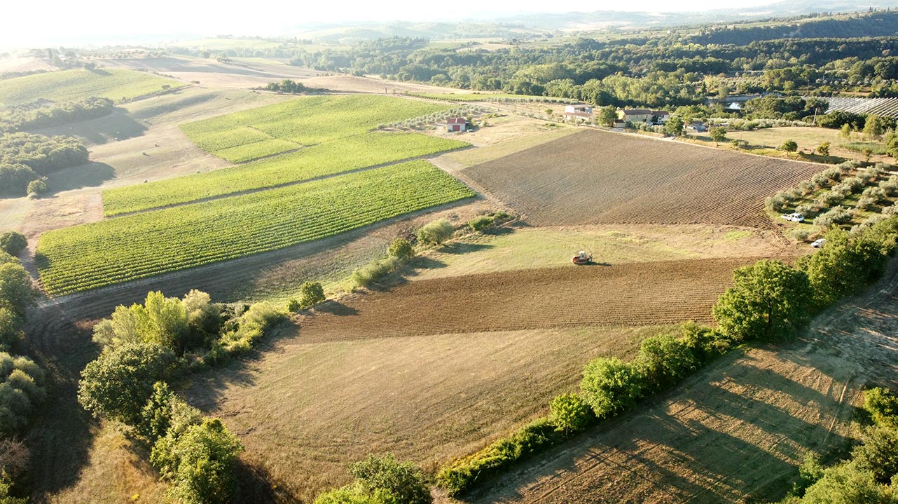 4 Vitigni internazionali in Toscana